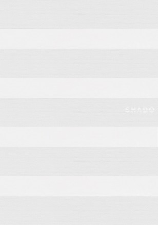 [:ro]Aster BO white[:ru]Aster BO white