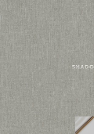 [:ro]Faro Alu light grey[:ru]Faro Alu light grey