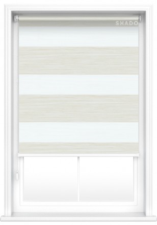 [:ro]Alicante BO mushroom[:ru]Alicante BO mushroom